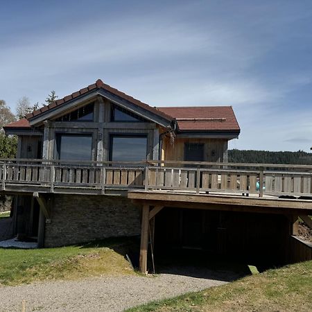 L'Adret Du Temps Chalet 10 Personnes 170M2 Gerardmer Bagian luar foto