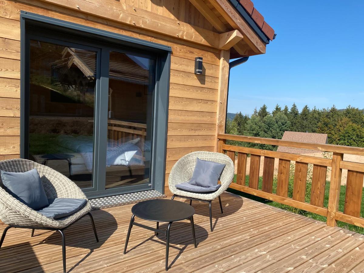 L'Adret Du Temps Chalet 10 Personnes 170M2 Gerardmer Bagian luar foto